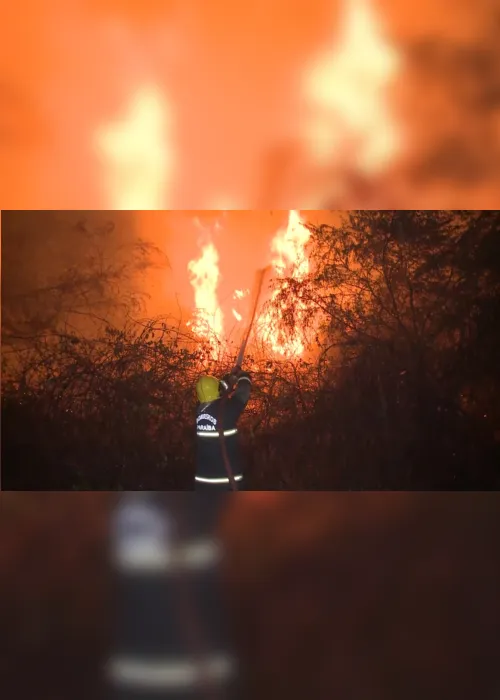 
                                        
                                            Incêndio atinge várzeas de Sousa e queima plantações de coco
                                        
                                        