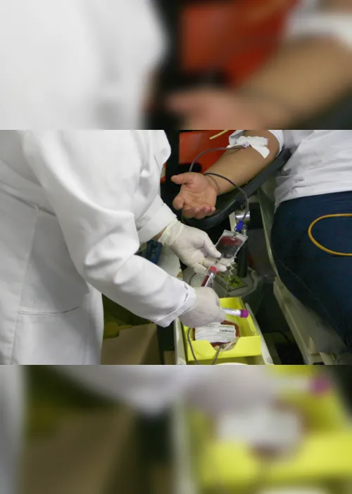 
                                        
                                            Hemocentro da PB promove ações para incentivar doação de sangue
                                        
                                        
