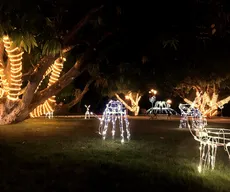 ‘Natal de Todos os Povos’ com 100 mil micro leds é aberta à visitação