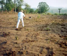 Embrapa começa a mapear o solo brasileiro; trabalho será feito em 30 anos