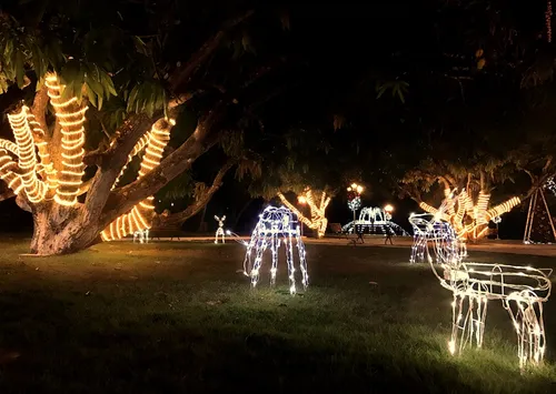 
				
					‘Natal de Todos os Povos’ com 100 mil micro leds é aberta à visitação
				
				