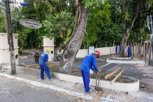 
				
					Reforma da Bica vai custar R$ 8,5 mi e deve ser concluída em 15 meses
				
				