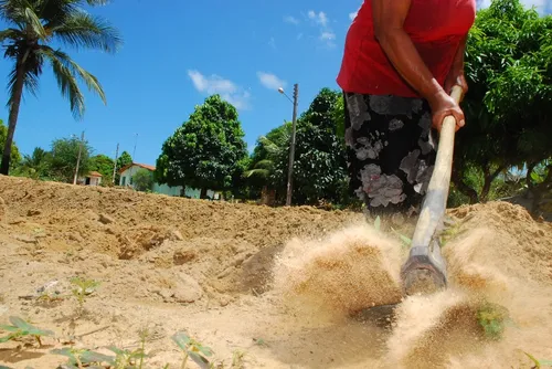 
				
					Governo da PB seleciona fornecedores para Programa de Alimentos
				
				