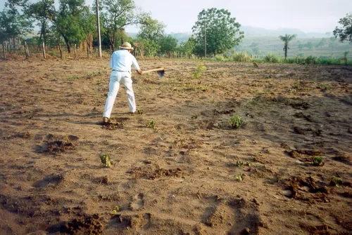 
				
					Embrapa começa a mapear o solo brasileiro; trabalho será feito em 30 anos
				
				