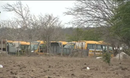 
                                        
                                            Ônibus escolares abandonados são flagrados em terreno particular em CG
                                        
                                        