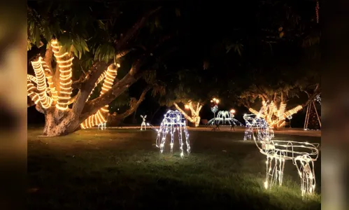 
				
					‘Natal de Todos os Povos’ com 100 mil micro leds é aberta à visitação
				
				