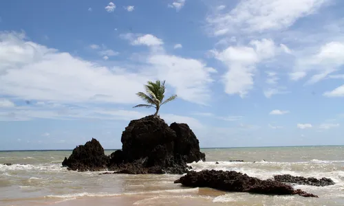 
                                        
                                            Prefeitura fecha acesso às praias e pontos turísticos de Conde devido ao coronavírus
                                        
                                        