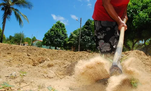 
                                        
                                            Governo considera 2017 um ano excepcional na produção agrícola brasileira
                                        
                                        