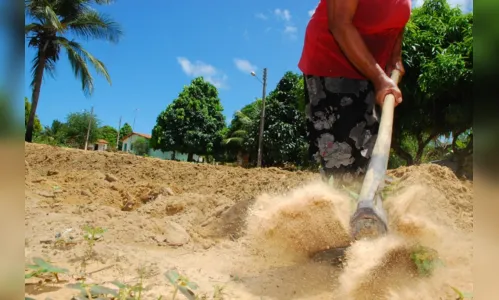 
				
					Paraíba tem 57% dos projetos de agricultura familiar financiados no país
				
				
