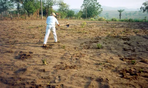 
                                        
                                            Embrapa começa a mapear o solo brasileiro; trabalho será feito em 30 anos
                                        
                                        