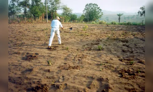 
				
					Embrapa começa a mapear o solo brasileiro; trabalho será feito em 30 anos
				
				
