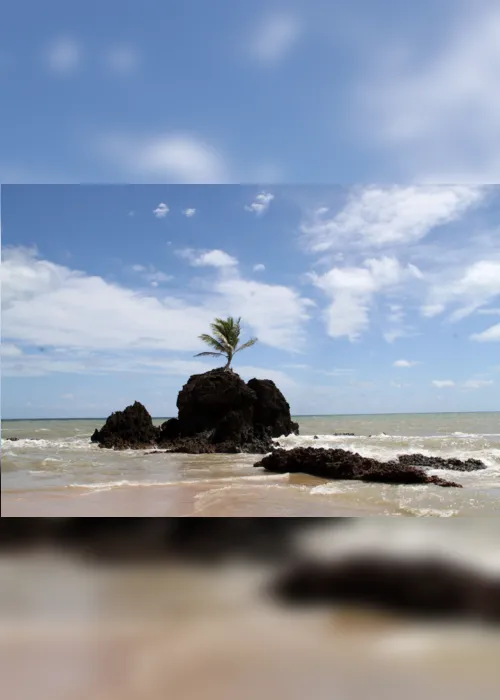 
                                        
                                            Três praias do Litoral Sul da Paraíba registram afogamentos durante o feriado
                                        
                                        