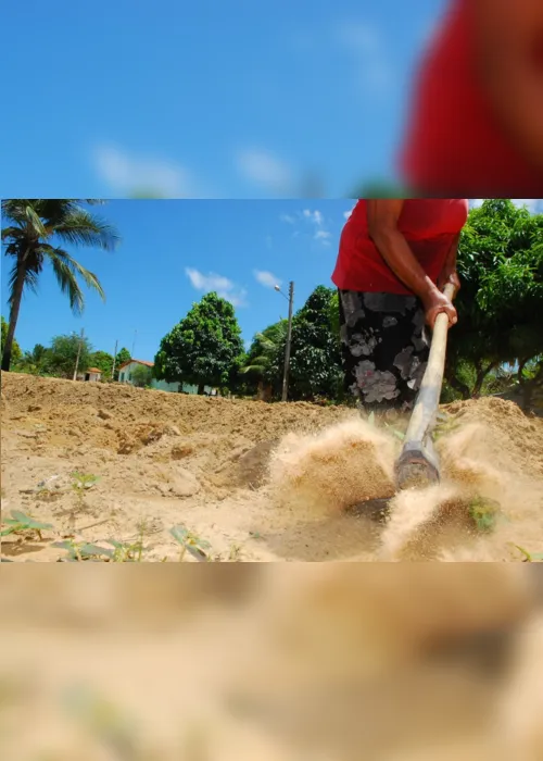 
                                        
                                            Paraíba tem 57% dos projetos de agricultura familiar financiados no país
                                        
                                        