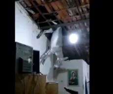 Jumento fica preso em telhado de casa em Cajazeiras; veja vídeo