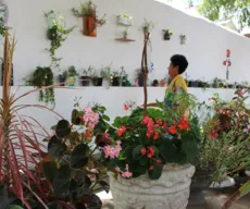 Moradores transformam fundos do cemitério de Areia em área com jardim
