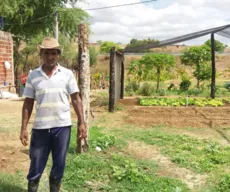 Família melhora qualidade de vida produzindo hortaliças em um hectare de terra