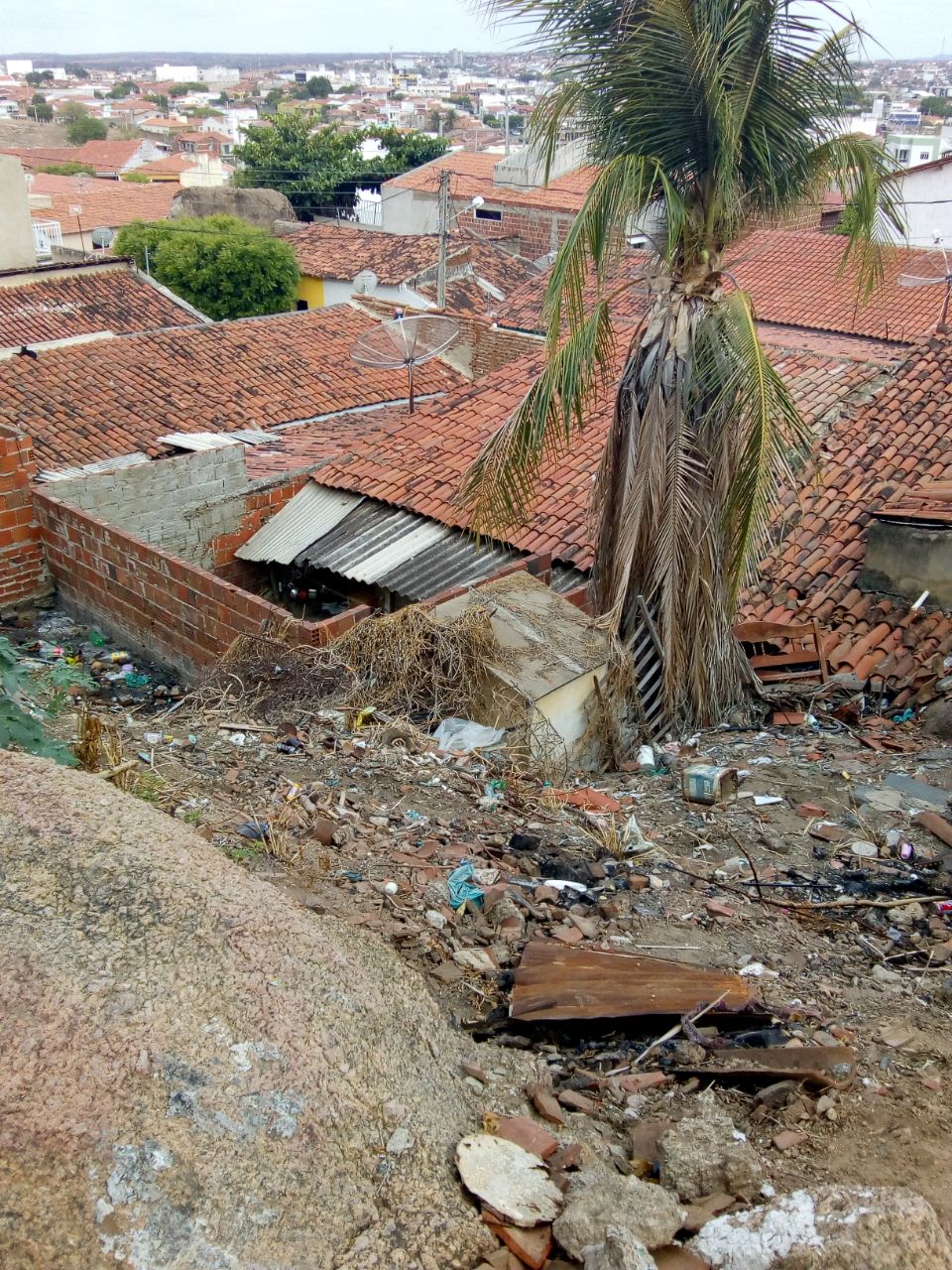 
				
					Jumento fica preso em telhado de casa em Cajazeiras; veja vídeo
				
				