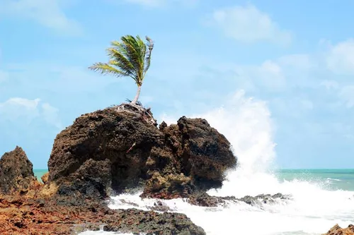 
				
					Verão: conheça todas as praias da Paraíba
				
				