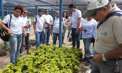 
                                        
                                            Senar abre inscrições para 120 vagas em curso técnico na Paraíba
                                        
                                        