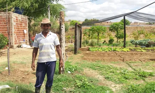 
                                        
                                            Família melhora qualidade de vida produzindo hortaliças em um hectare de terra
                                        
                                        