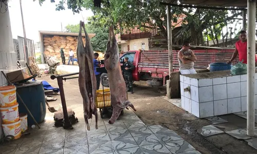 
                                        
                                            Matadouro clandestino é fechado e 136 animais são apreendidos
                                        
                                        