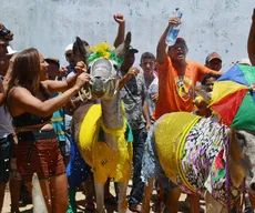 Corrida de jegue e desfile de fantasia animam carnaval no Sertão