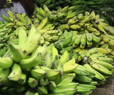 Preço do quilo da banana prata varia até 194,67% em João Pessoa, afirma Procon-PB