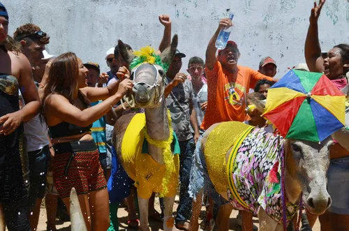 
				
					Corrida de jegue e desfile de fantasia animam carnaval no Sertão
				
				