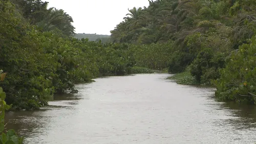 
				
					Técnica com cortina de plástico e seres vivos do ecossistema pode recuperar Rio Gramame
				
				