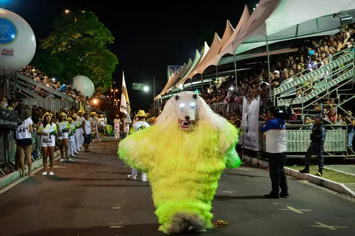 
				
					Desfile de Ala Ursas encerra Carnaval Tradição
				
				