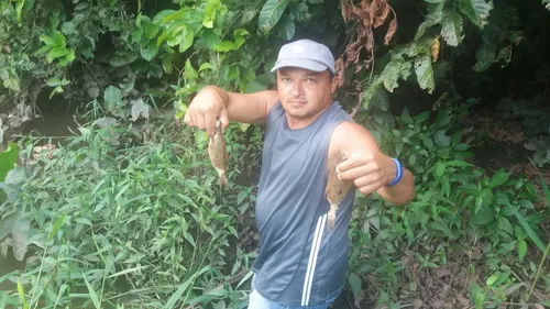 
				
					Pescadores reclamam da morte de peixes após vazamento de soda cáustica no Rio Gramame
				
				