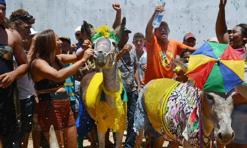 
                                        
                                            Corrida de jegue e desfile de fantasia animam carnaval no Sertão
                                        
                                        