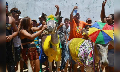 
				
					Corrida de jegue e desfile de fantasia animam carnaval no Sertão
				
				