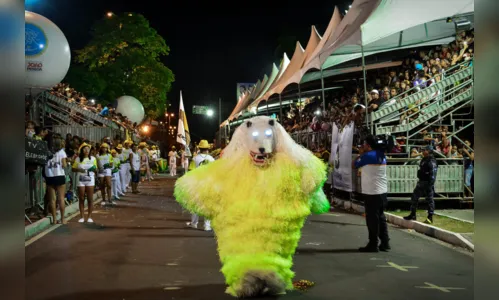 
				
					Ala Ursa: como a agremiação ganhou um dia exclusivo para desfilar no Carnaval Tradição de João Pessoa
				
				