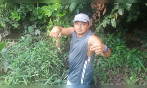 
				
					Pescadores reclamam da morte de peixes após vazamento de soda cáustica no Rio Gramame
				
				