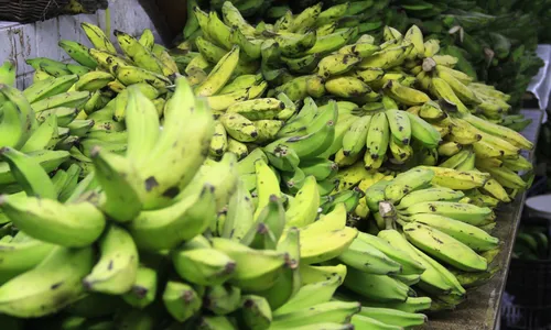 
                                        
                                            Preço do quilo da banana prata varia até 194,67% em João Pessoa, afirma Procon-PB
                                        
                                        