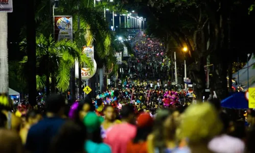 
				
					Abertura do Folia de Rua 2024 tem Alceu Valença e mais nesta quinta-feira (1º)
				
				