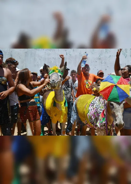 
                                        
                                            Corrida de jegue e desfile de fantasia animam carnaval no Sertão
                                        
                                        