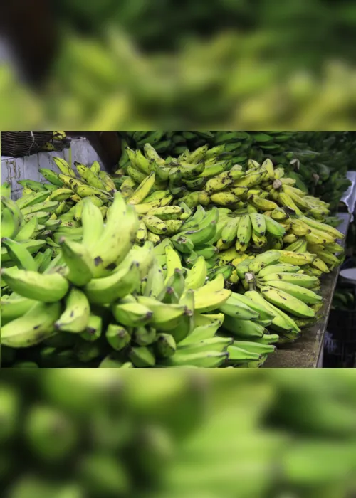 
                                        
                                            Preço do quilo da banana prata varia até 194,67% em João Pessoa, afirma Procon-PB
                                        
                                        