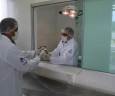 Centro de Zoonoses de João Pessoa abre inscrições para esterilização de cães e gatos