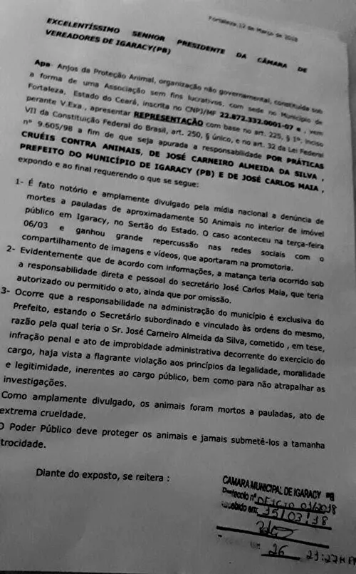 
				
					Ativistas protocolam pedido para Câmara investigar morte de pelo menos 31 cães em Igaracy
				
				