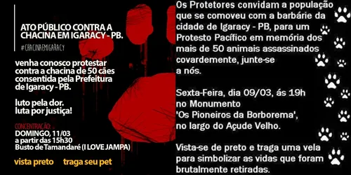 
				
					Internautas mobilizam ato contra matança de animais em Igaracy
				
				