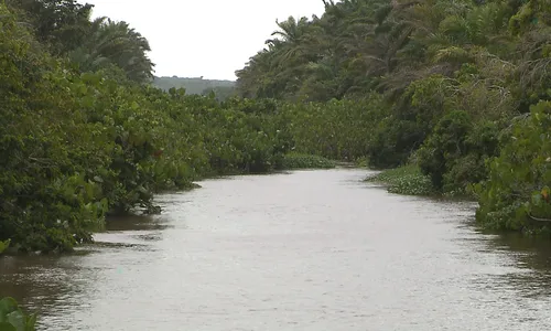 
                                        
                                            Dia Mundial da Água: peixes não voltam ao Gramame após vazamento de soda cáustica, dizem pescadores
                                        
                                        