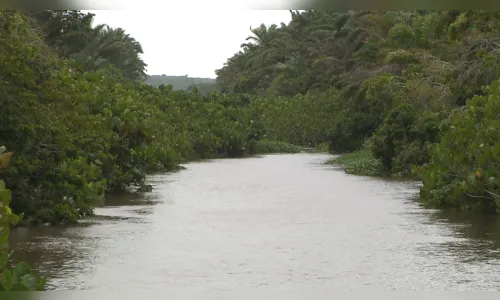 
				
					Dia Mundial da Água: peixes não voltam ao Gramame após vazamento de soda cáustica, dizem pescadores
				
				