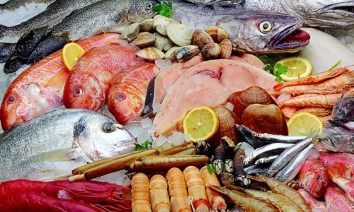 
                                        
                                            Quilo do peixe pode ser encontrado por até R$ 45 nos mercados públicos de JP
                                        
                                        