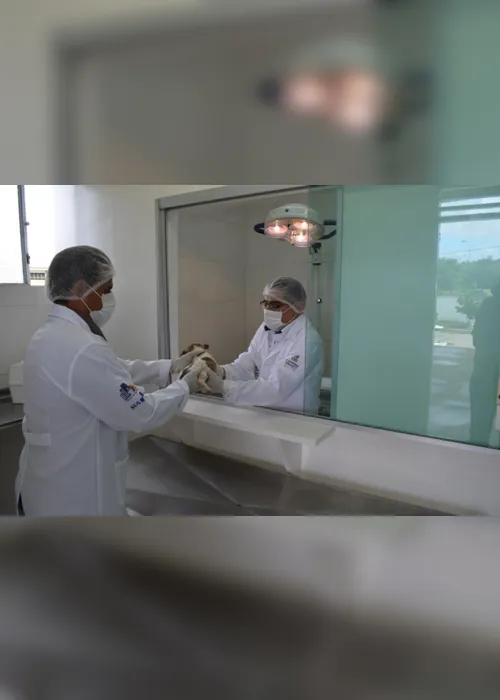 
                                        
                                            Cícero veta projeto que criava farmácia PET no Centro de Zoonoses de João Pessoa
                                        
                                        