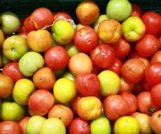 Quilo do tomate varia 232,32% em estabelecimentos de João Pessoa