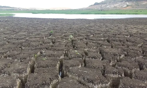 
                                        
                                            Campina Grande e outras seis cidades da Paraíba têm situação de emergência reconhecida
                                        
                                        