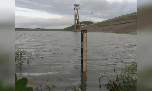 
				
					ANA multa quase 40 pessoas no Sertão por descumprimento de limites de irrigação
				
				