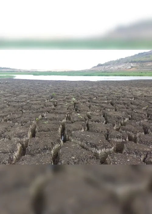 
                                        
                                            Campina Grande e outras seis cidades da Paraíba têm situação de emergência reconhecida
                                        
                                        